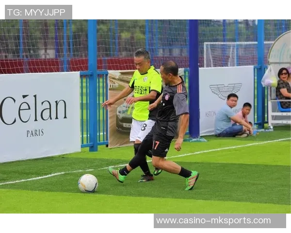 愤怒的小鸟足球赛激情开战小鸟们的团队合作与策略对决